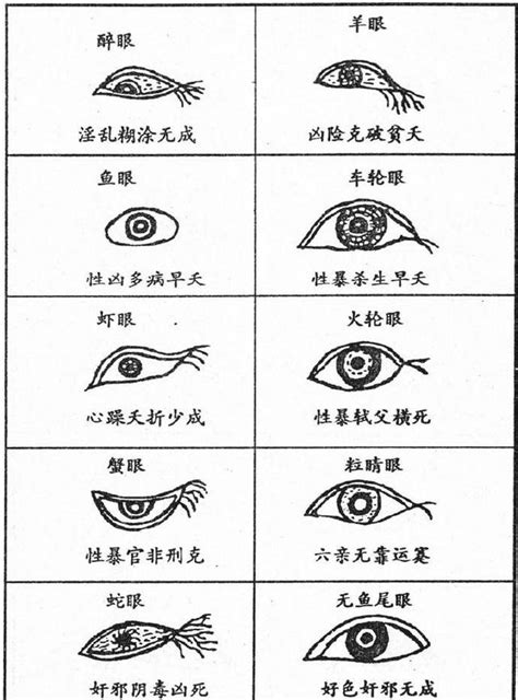 眼睛相學|眼睛看相教學圖解：眼型看相、男人、女人眼睛看相算。